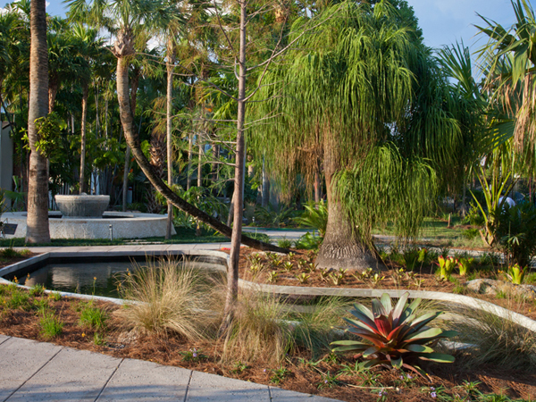 Top Botanical Gardens In Miami Cbs Miami