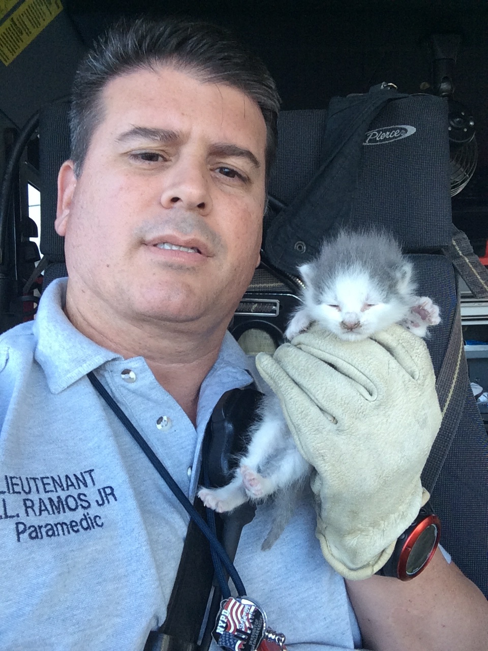 Kittens rescued from ceiling at MIA (Source: Griselle Marino)