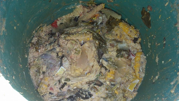 The slop the horses were given to eat. (Source: South Florida SPCA)
