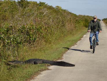 Top Parks To Ride Your Bike In South Florida Cbs Miami