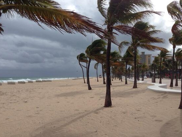 Miami Weather: Windy & Warm, Spotty Showers Possible