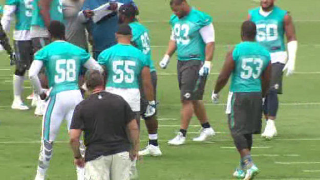 Linebackers Chris McCain #58, Koa Misi #55 and Jelani Jenkins #53 work out with members of the defense during the Miami Dolphins first OTA workout of 2015 (Source: CBS4)