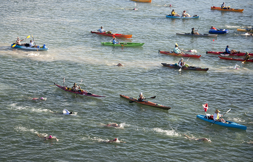 In this photo provided by the Florida Keys News Bureau, a portion of the field of about 200 registered entrants begins the Swim for Alligator Lighthouse open water contest Saturday, Sept. 19, 2015, off Islamorada, Fla. The 9-mile challenge on the Atlantic Ocean side of the Florida Keys island chain is being staged to create awareness of the need to preserve six aging lighthouses off the Keys that no longer serve as primary navigation aids for maritime traffic. (Andy Newman/Florida Keys News Bureau)