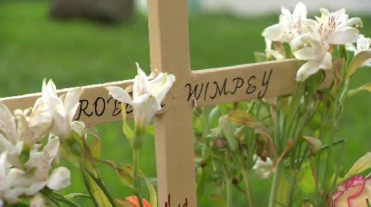 A small memorial bearing flowers and a cross marks the spot where Robert Wimpey was struck. (Source: CBS4)