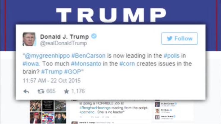 Donald Trump blamed an intern for retweeting a comment that suggested corn had damaged the brain of Iowa voters. (Source: Twitter)