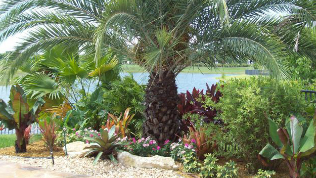 Top Garden Centers In South Florida Cbs Miami