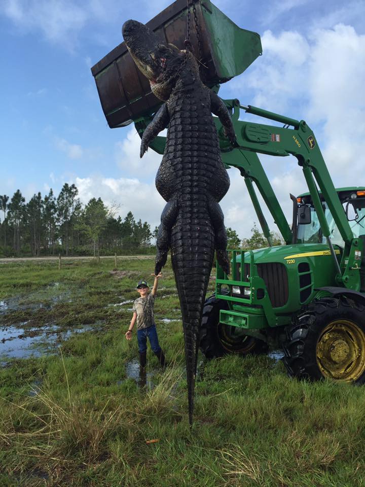 Yeah... it's monster movie big! (Source: Outwest Farms, Inc. / Facebook)