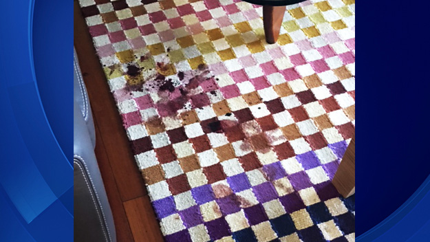 Blood stains could be seen on an area rug.(Source: CBS4 News Viewer) 
