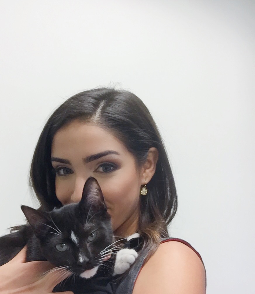 CBS4's Bianca Peters holds Harry, a 4-to-5 month old kitten available for adoption at Miami-Dade Animal Services. (CBS4/Bianca Peters)