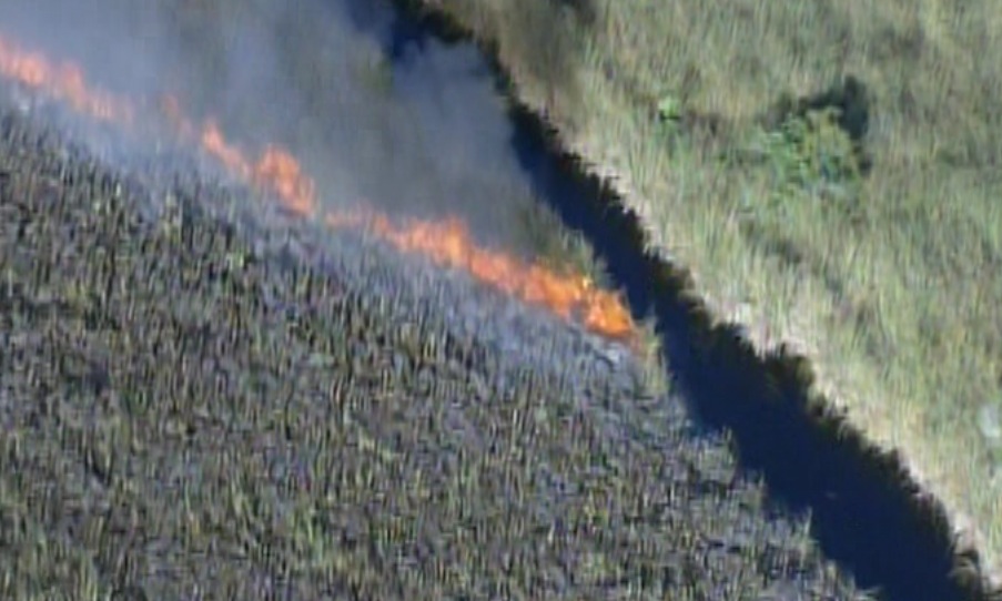 Smoke From 2 Everglades Brush Fires Affecting Parts Of Broward