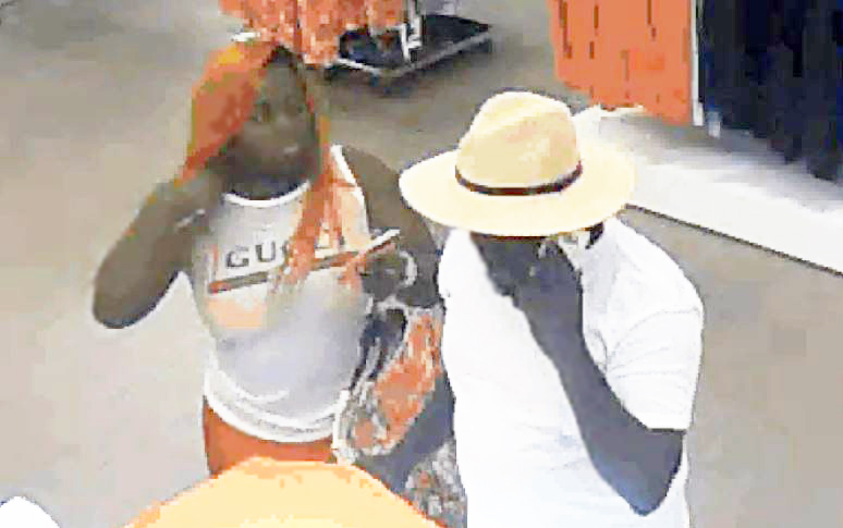 Theft suspects sought in Pines