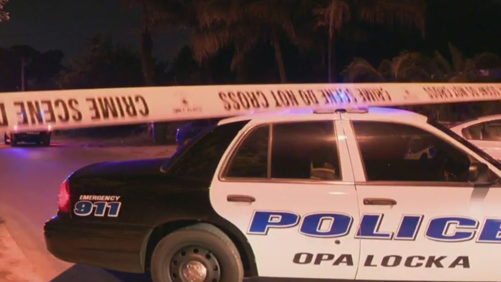 Trio Of Thieves Stole Cars From Opa-locka Dealership, Shot Security Guard