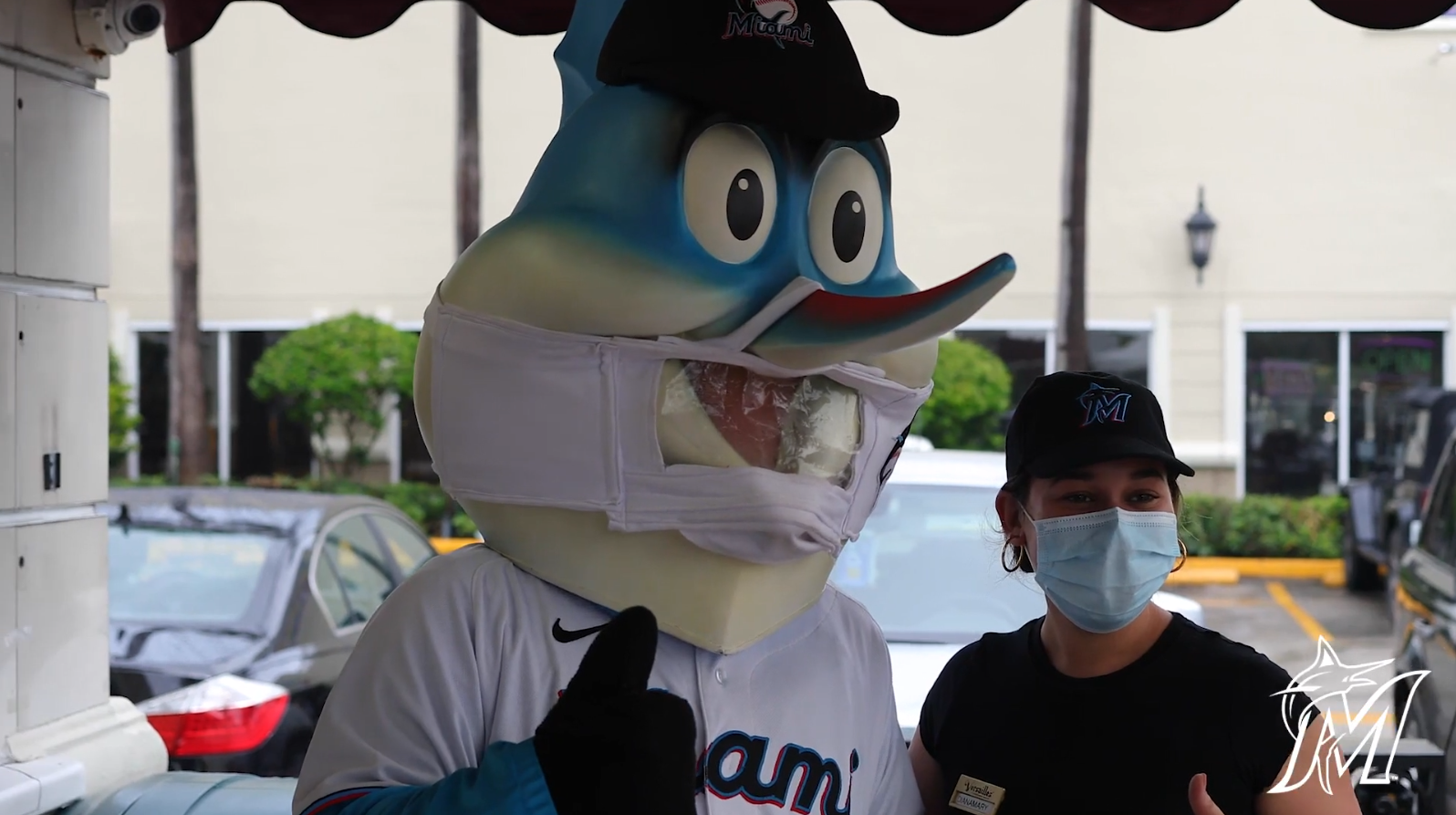 Image result for marlin mascot costume