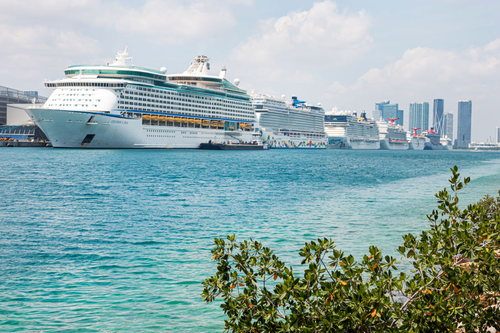 Cruise Lines Pledge To Expand Technology To Cut Emissions From Ships At PortMiami
