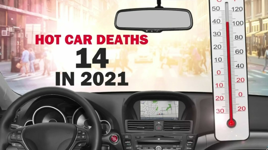 Advocacy Group Says 14 Children Have Died In Hot Vehicles So Far This Year