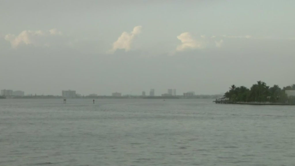 Environmental advocates who say Biscayne Bay is dying to gather Wednesday to find solutions