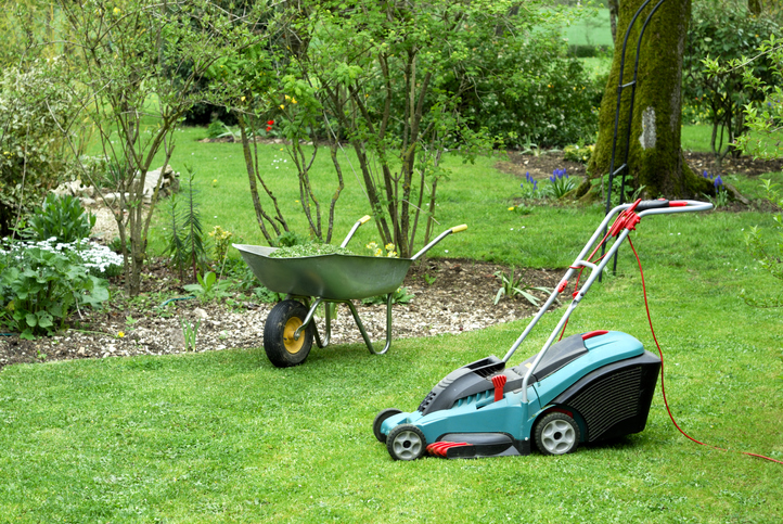 Experts Believe Other States Could Switch To Electric Mowers Like California