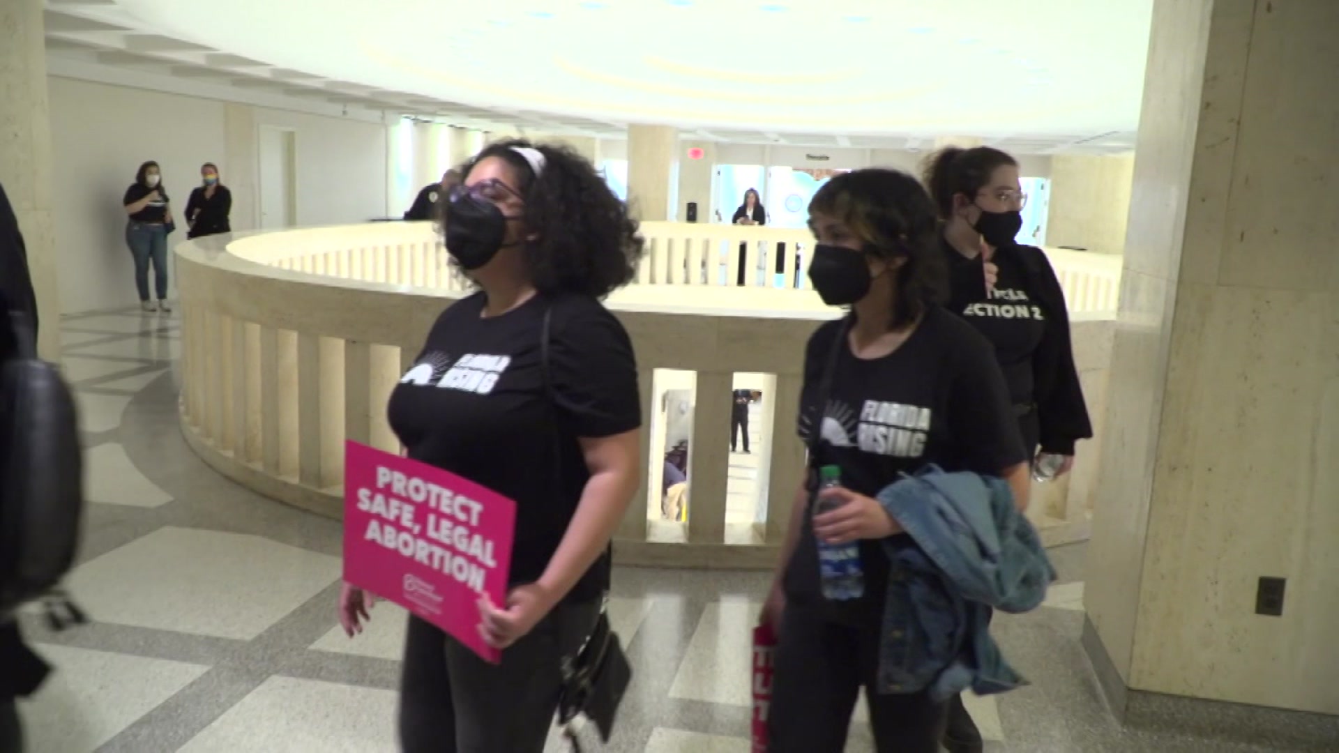 ‘Respect Their Rights To Bodily Autonomy’: Activists Present At Florida 15-Week Abortion Ban Hearing