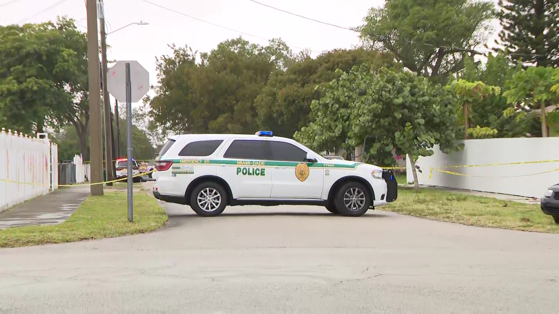 Man Hospitalized In Brownsville Drive-By Shooting