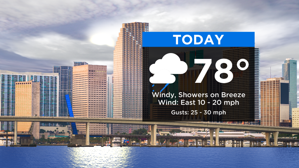 Miami Weather: Windy & Warm Wednesday