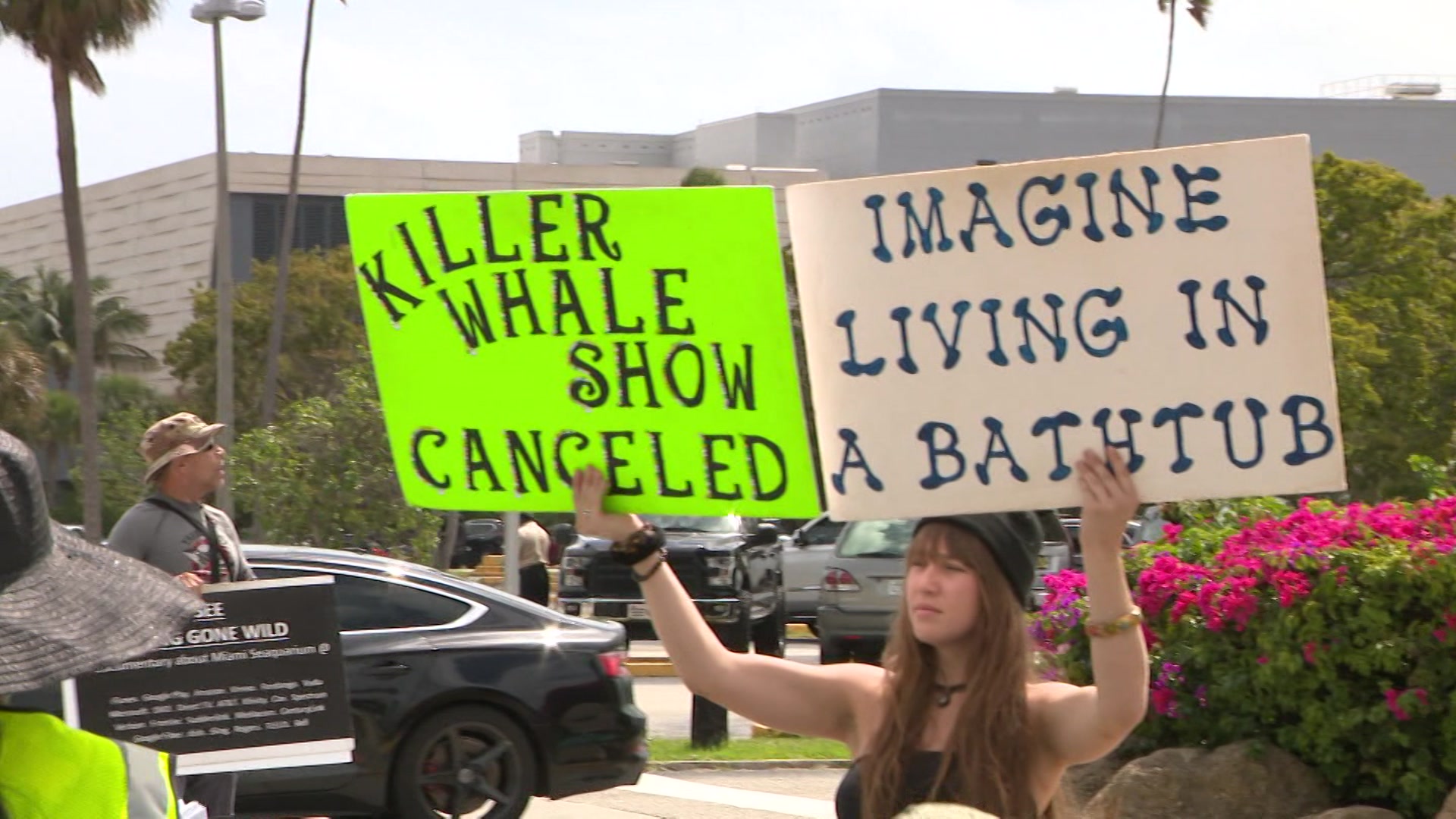 Group Protests Outside Miami Seaquarium Calling For Its Closure