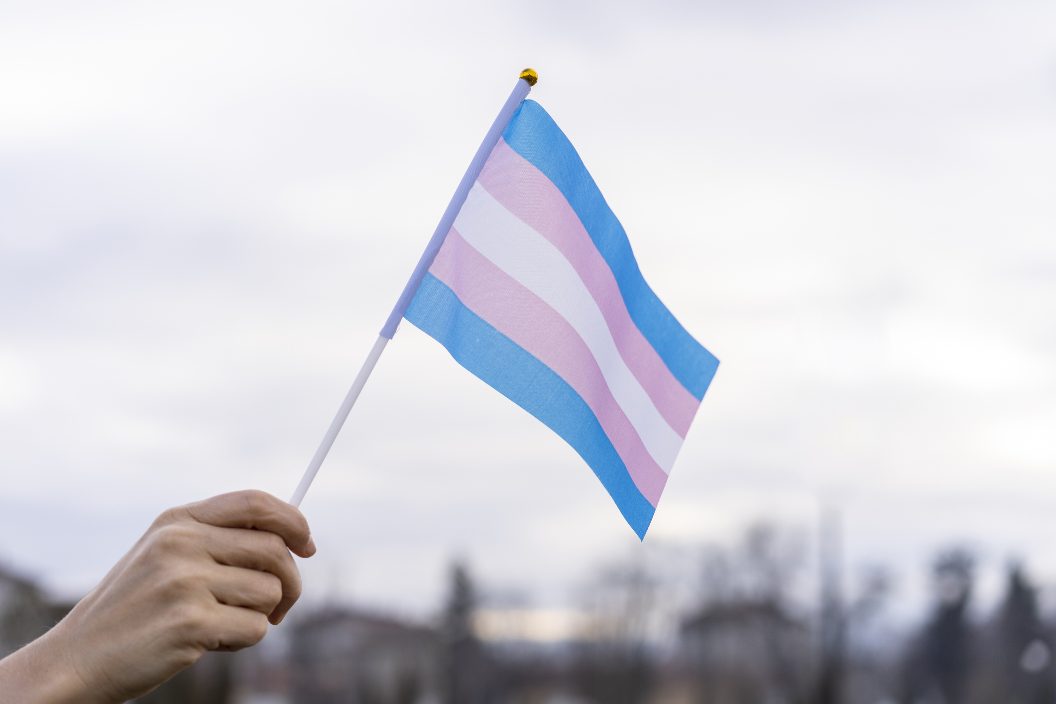 Biden Administration Marks Transgender Day Of Visibility By Advocating For More Inclusive Government