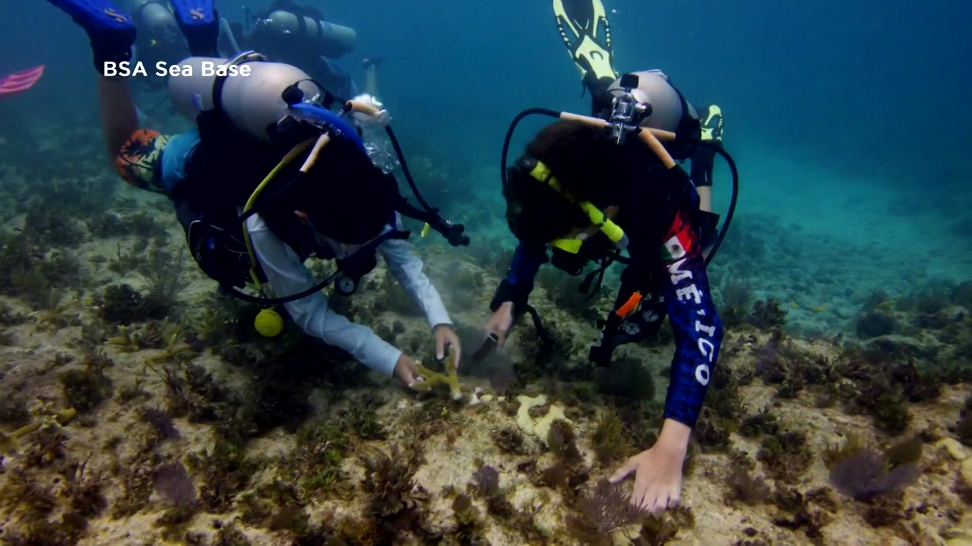 Earth Day: Boy Scouts Helping To Regrow Florida’s Vunerable Coral Reefs