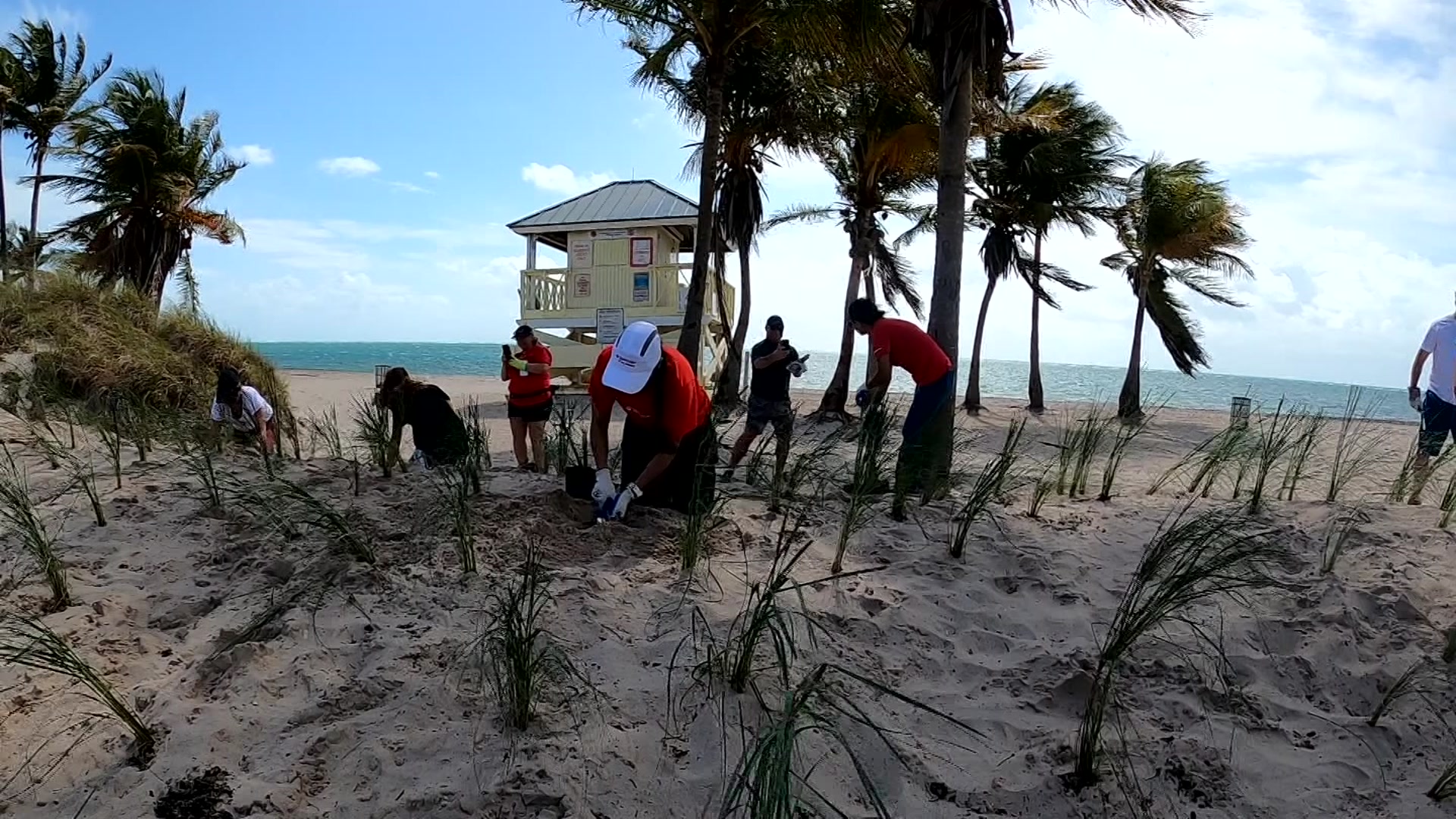 Miami-Dade County Celebrates Earth Day By Cleaning, Planting At Crandon Park