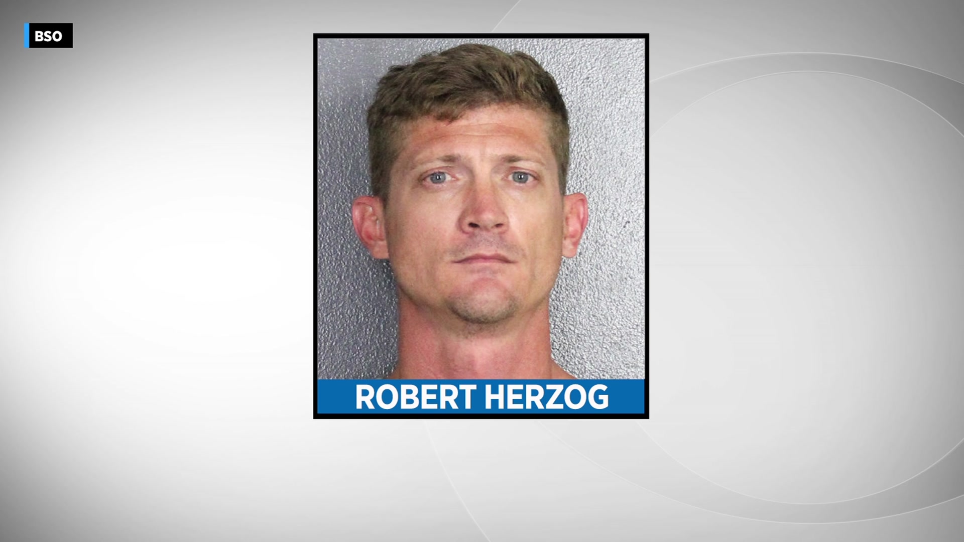 Broward High School Assistant Principal Robert Herzog Accused Of Illegally Obtaining Personal Information
