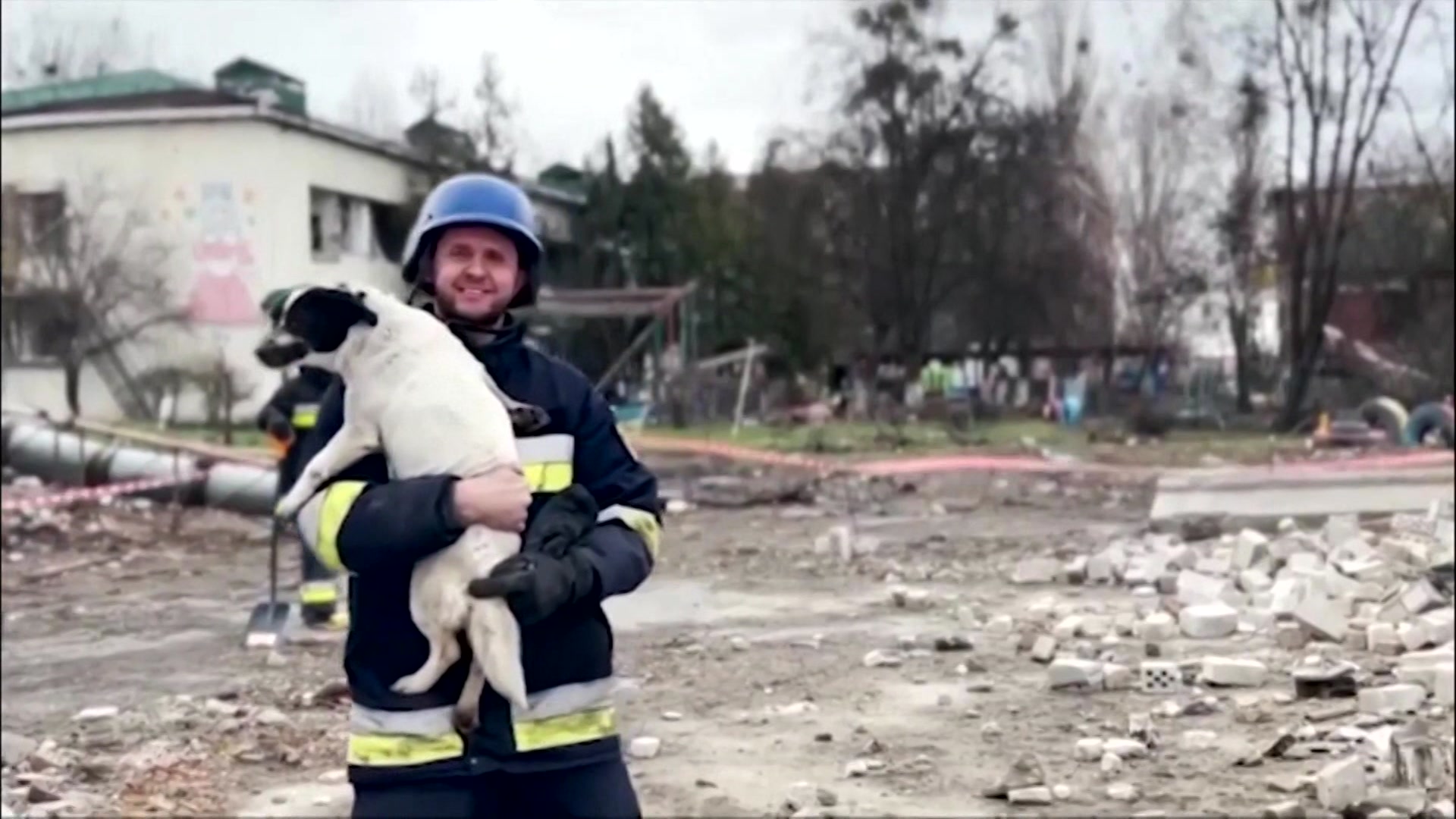 Group Defies Bullets To Save Family Pets In War-Torn Ukraine