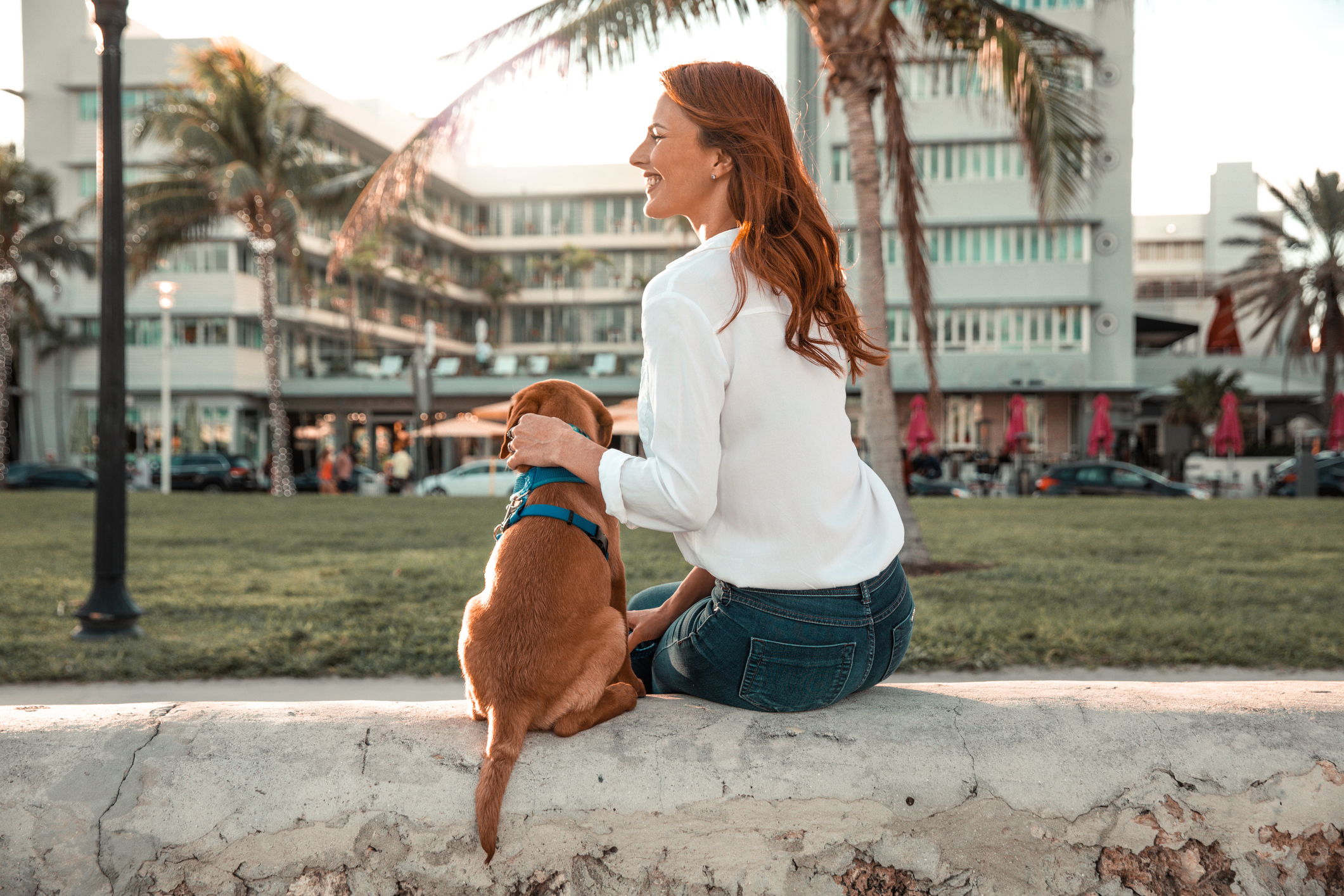 Miami Ranked 3rd Best City In America For Pet Lovers